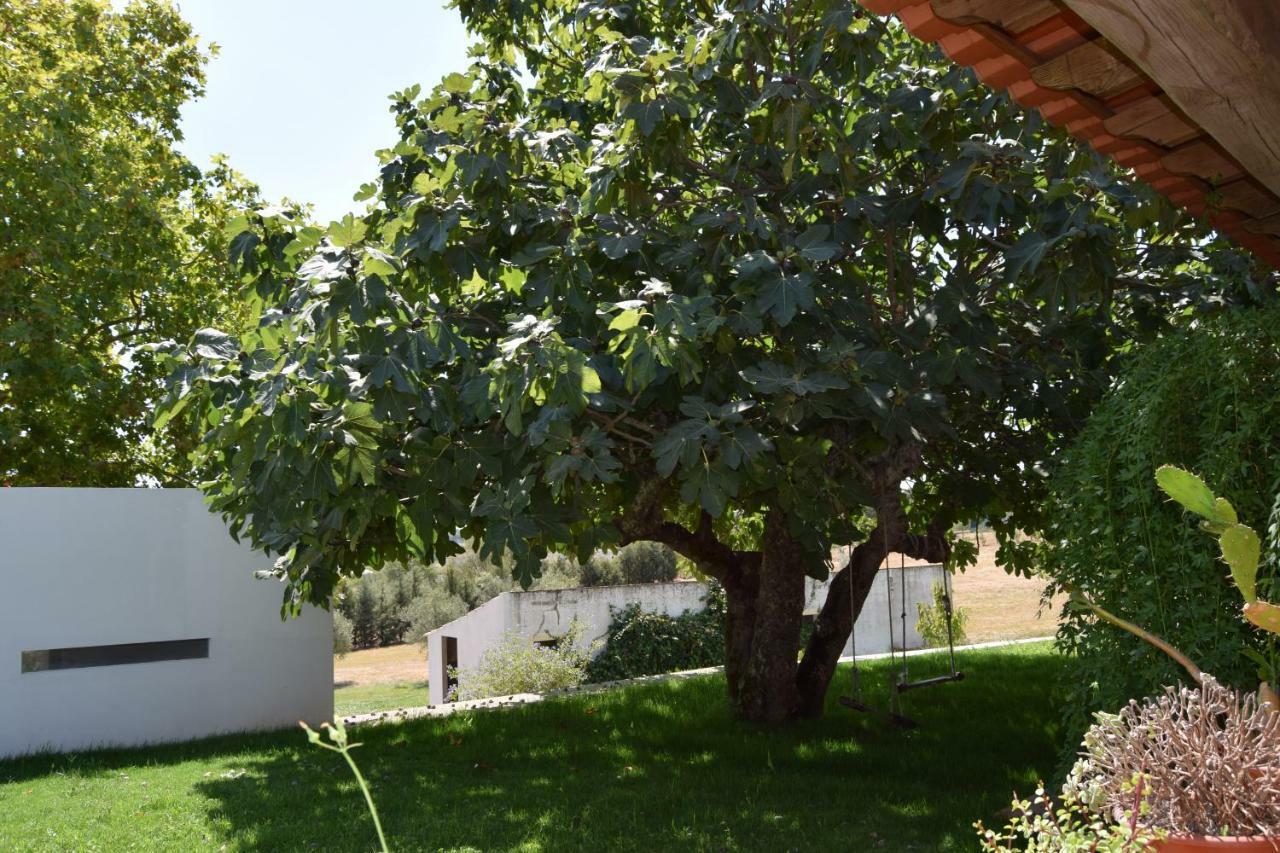 에보라 Quinta Da Aurora 빌라 외부 사진